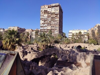 Skyscraper overlooking a park