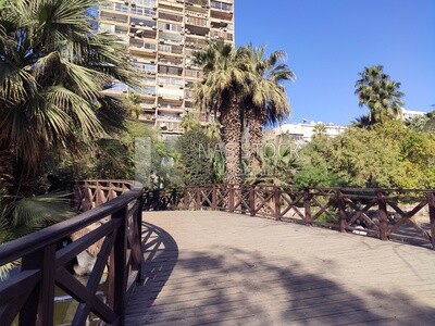 Wooden bridge in a garden