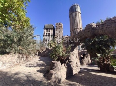 Skyscrapers overlooking a public park