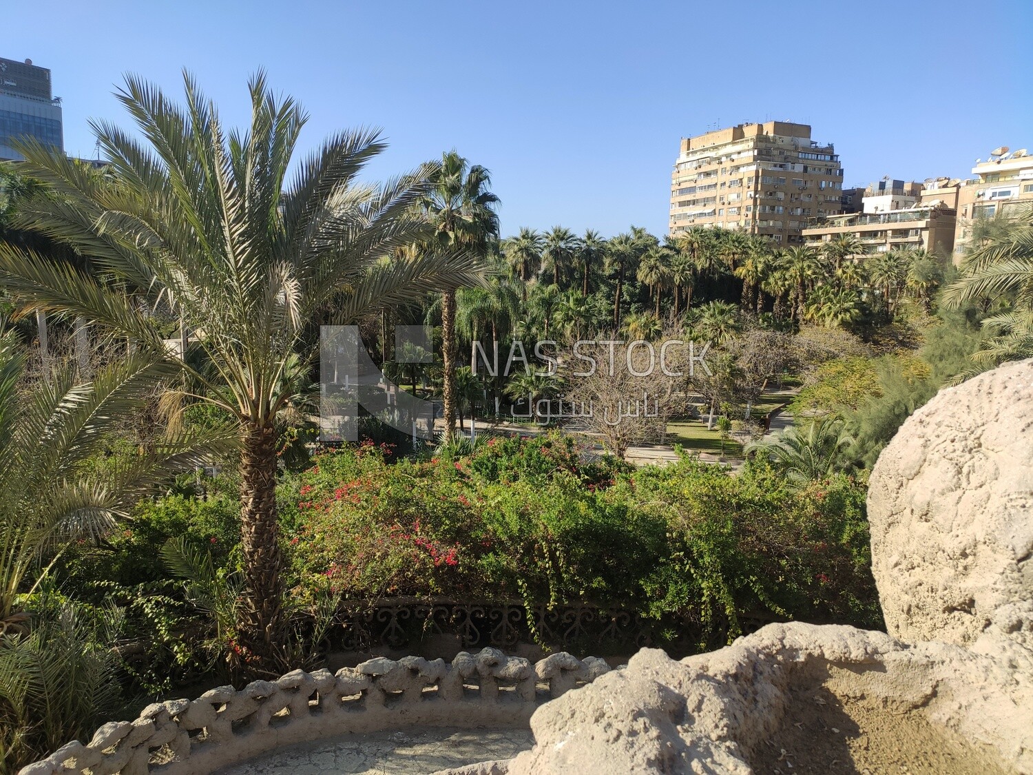 Garden full of trees and natural green landscapes, Egypt