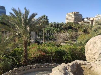 Garden full of trees and natural green landscapes, Egypt