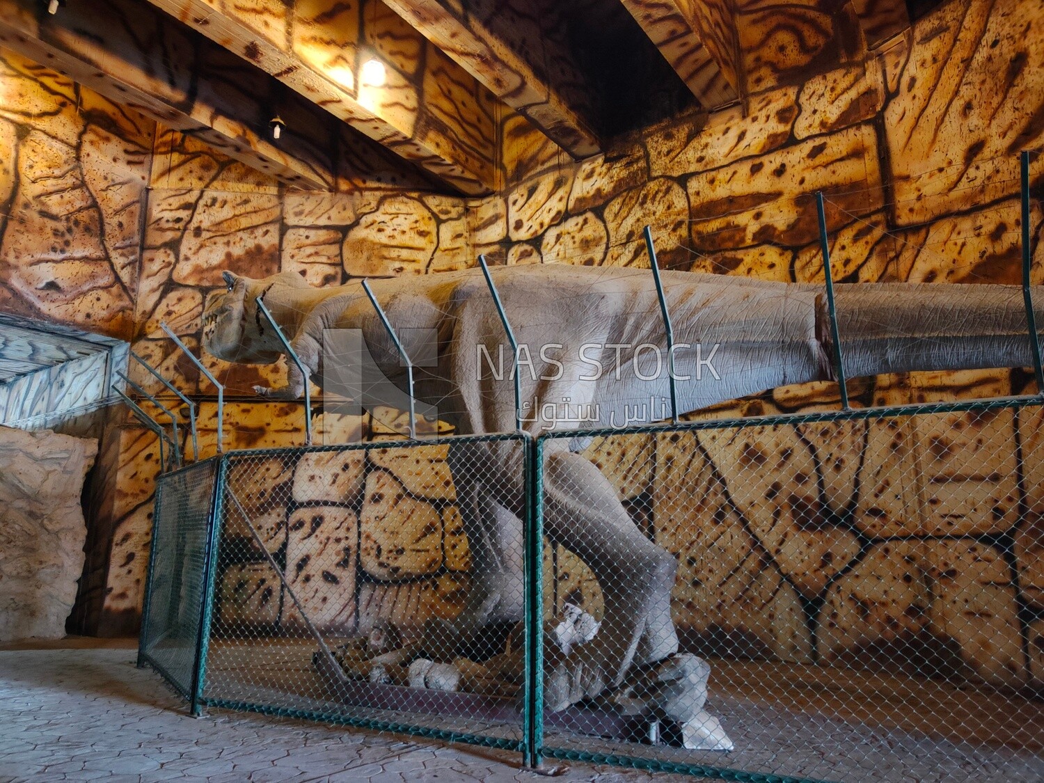 Dinosaur cave