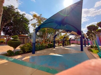 Umbrellas at garden