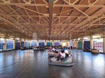 Electric bumper car game in Dream Park