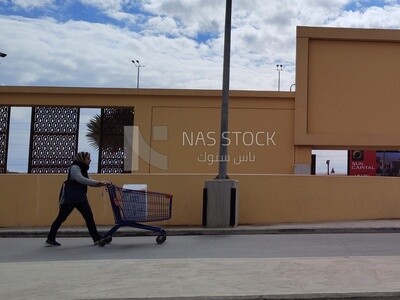 Woman pull cart