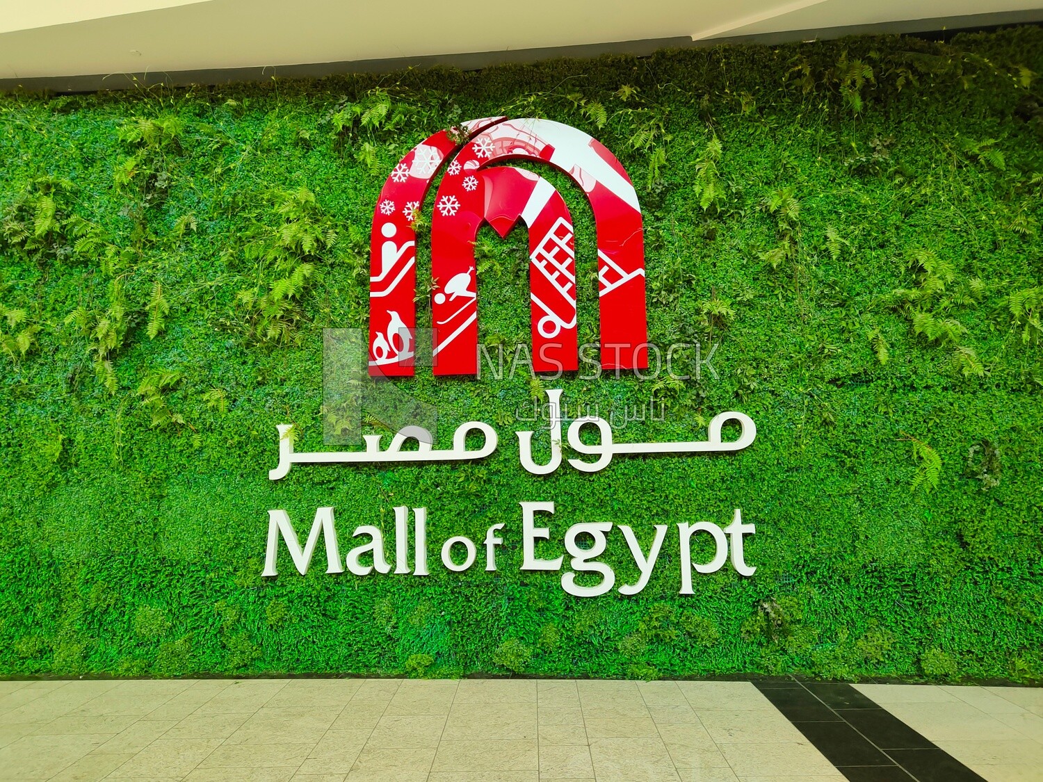 Logo mall Egypt with green
 agricultural background