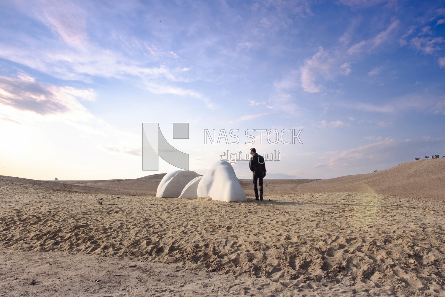 Jwan Yosef&#39;s Vital Sands