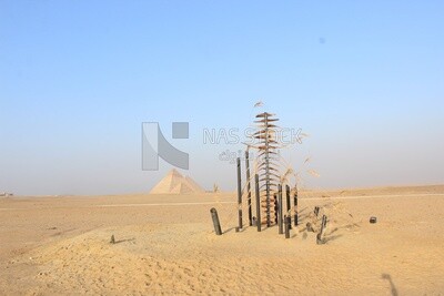 Guardians of the Wind