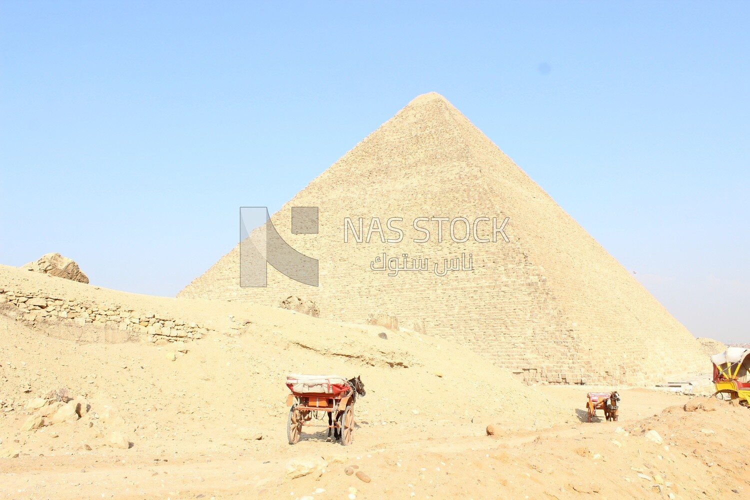 Horses carts
