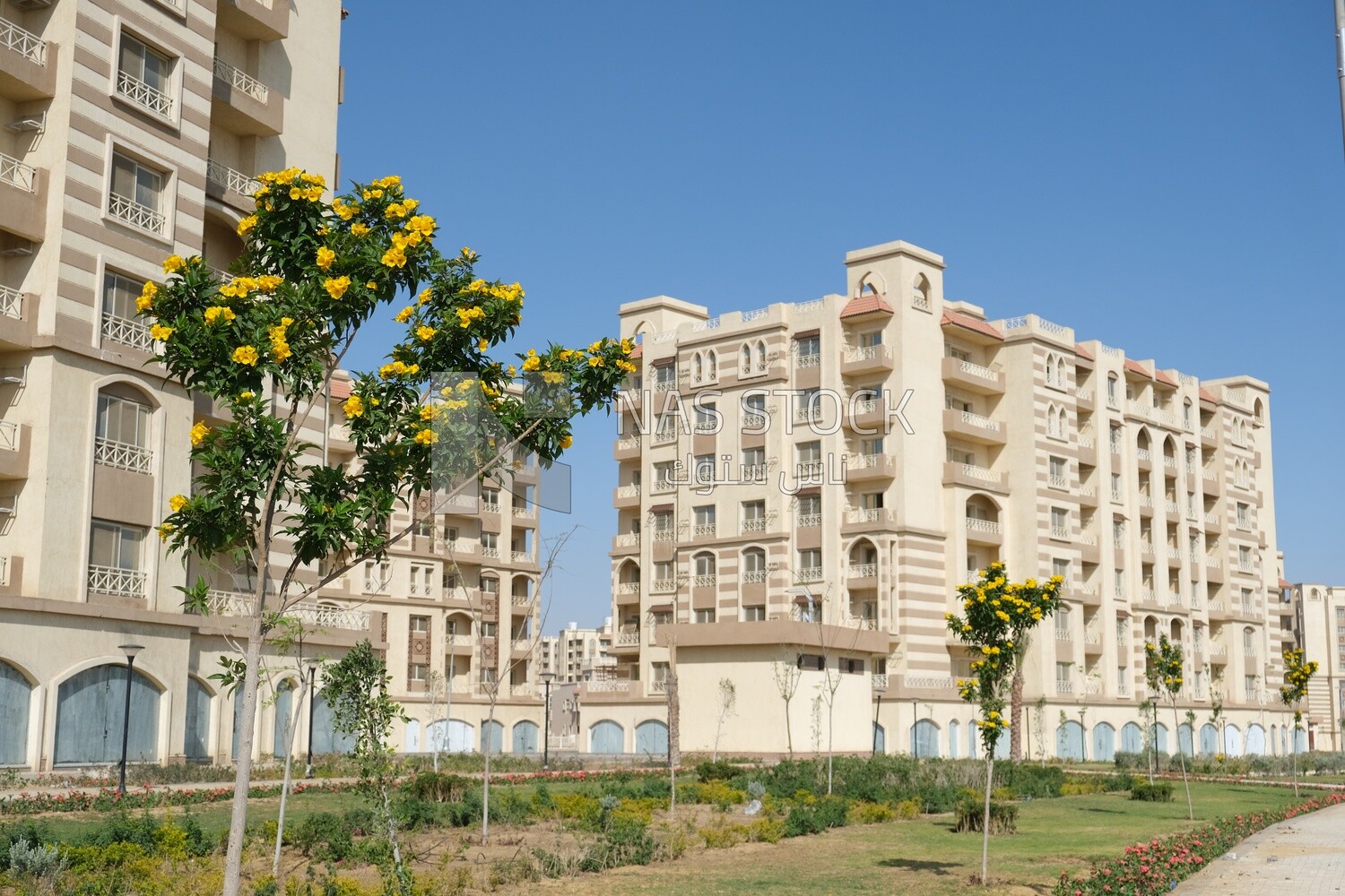 The view of the buildings in the New Administrative Capital,  the New Administrative Capital