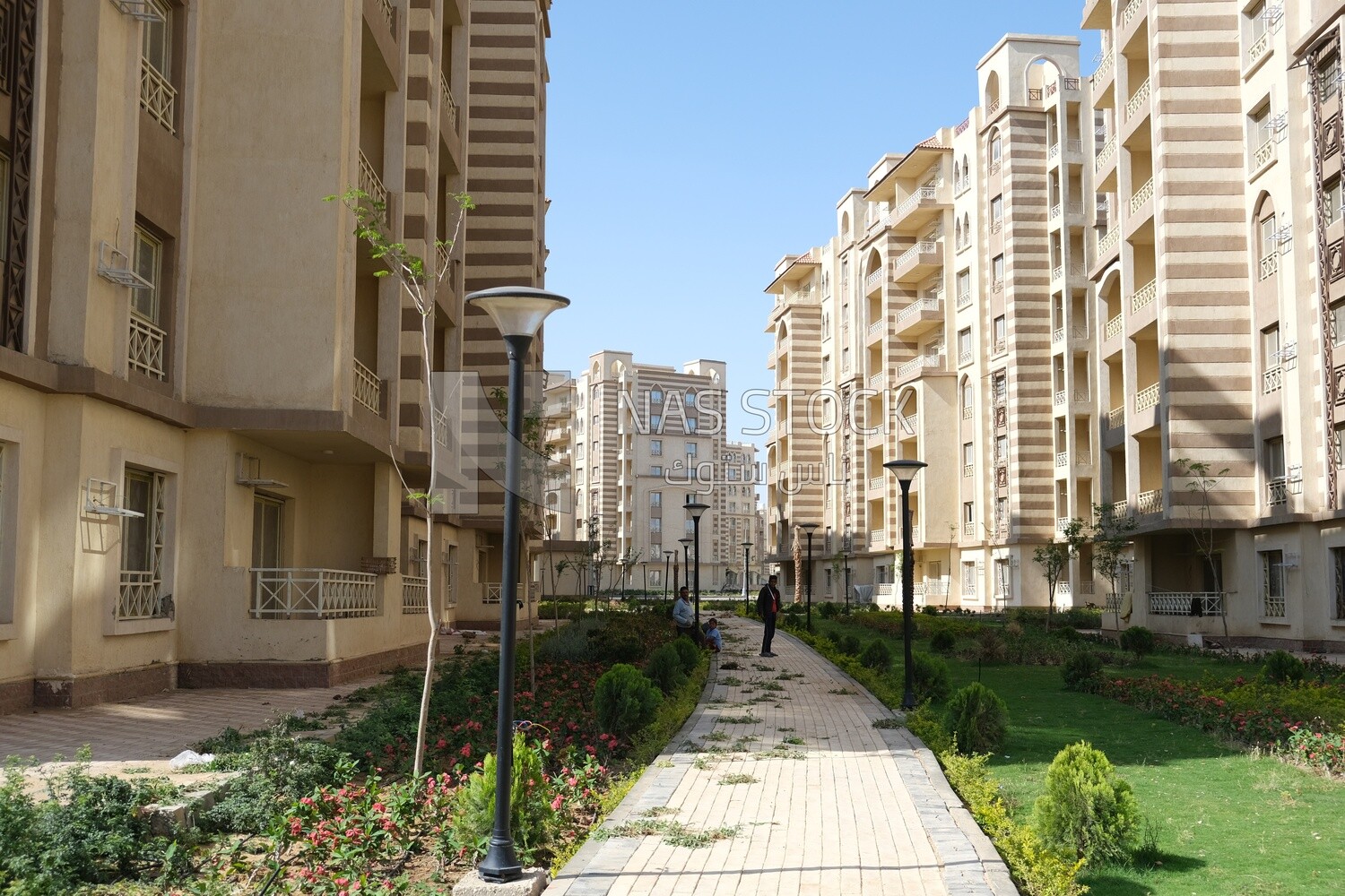 The view of the buildings in the New Administrative Capital,  the New Administrative Capital