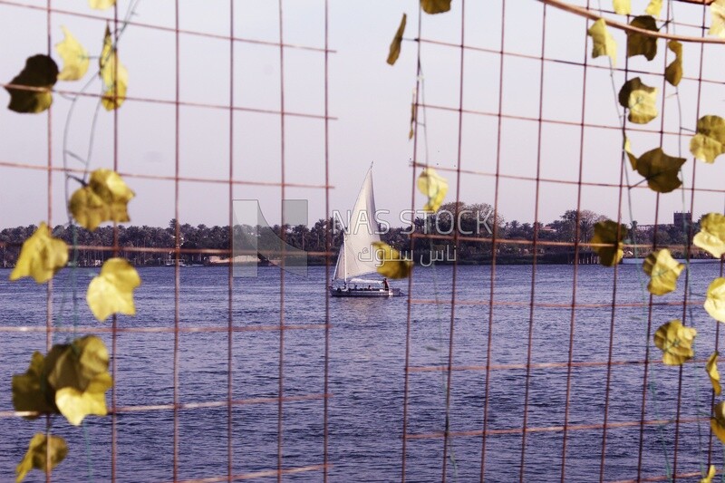 Boat sailing in the river, landscapes, nature background, boat