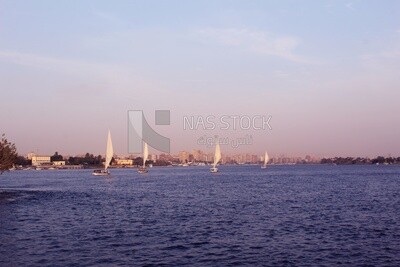 Boats in the river, landscapes, nature background, boat