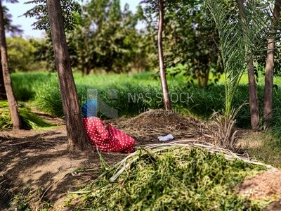 Egyptian farmer sitting in the farmland enjoying the outdoors