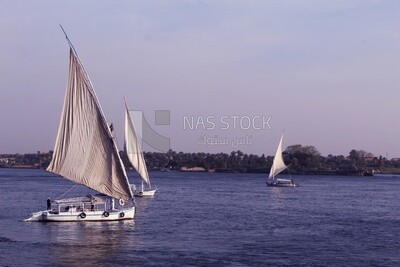 Boats in the river, landscapes, nature background, boat