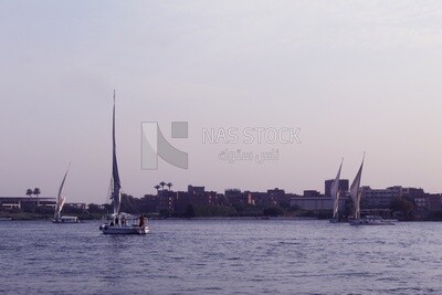 Boats in the river, landscapes, nature background, boat