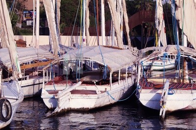 Boats in the river, landscapes, nature background, boat
