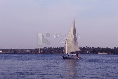 Boat sailing in the river, landscapes, nature background, boat