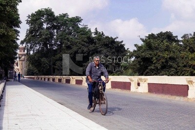 Adult Egyptian man riding a bicycle