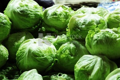الخس في سوق الخضار للبيع ، السوق