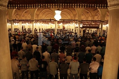 View from the back of the worshipers in the mosque, performing the obligatory prayer inside the mosque, reverence in prayer, performing the obligatory prayer in the mosque, worship and getting closer