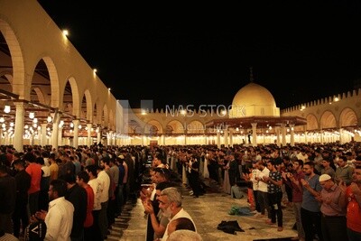 Worshipers praying in a mosque, performing the obligatory prayer in the mosque, worship and draw close to God