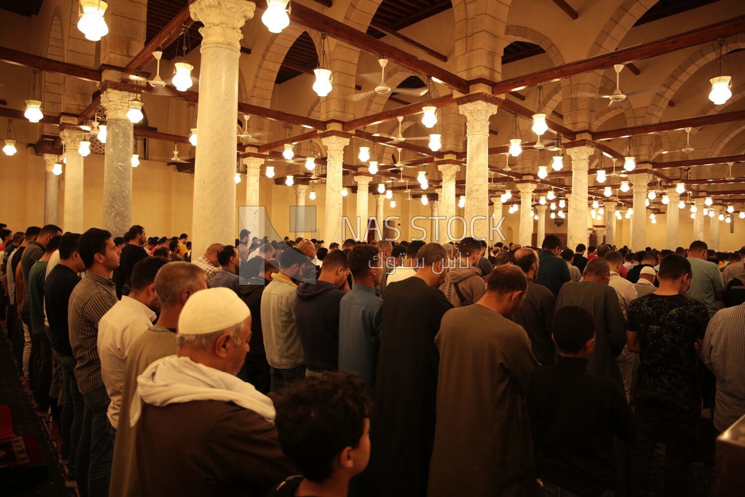 View from the back of the worshipers in the mosque, performing the obligatory prayer inside the mosque, reverence in prayer, performing the obligatory prayer in the mosque, worship and getting closer