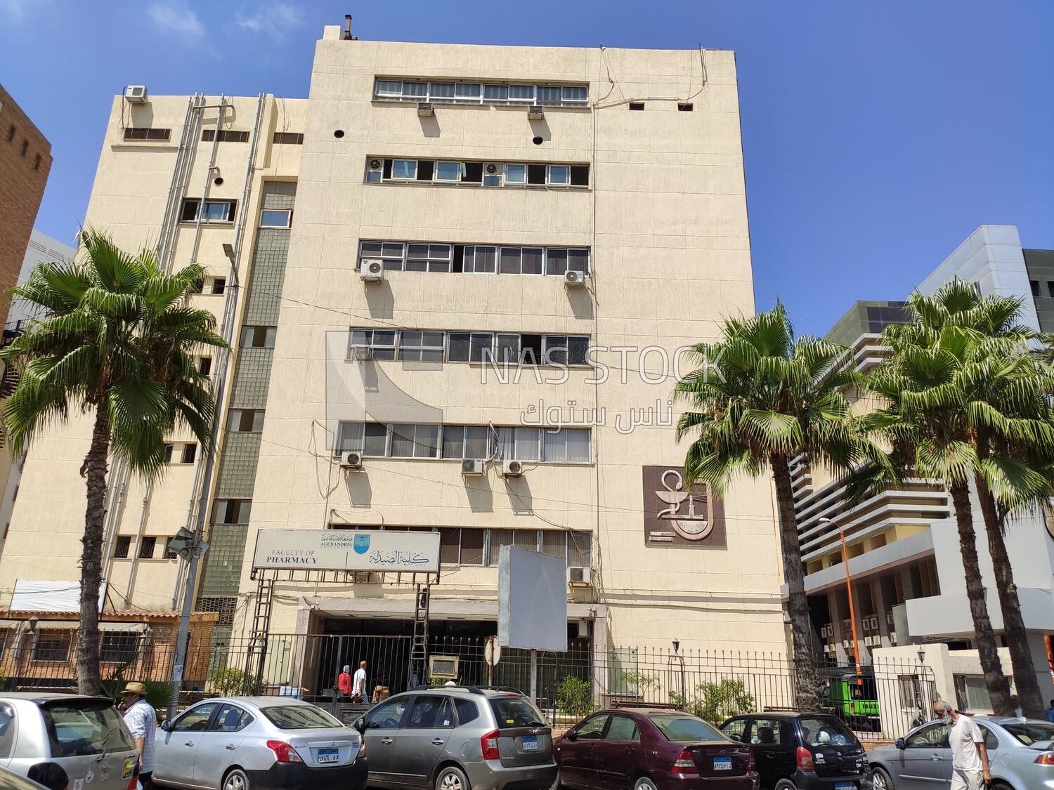 Faculty of Pharmacy, Alexandria University, Egypt
