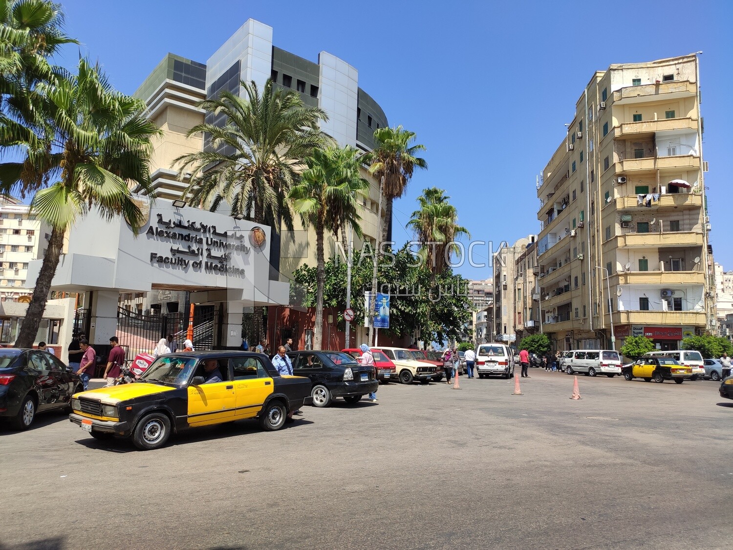 Alexandria University Faculty of Medicine ,Egypt