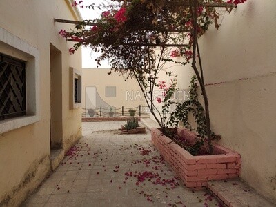 Picture from inside one of the Islamic cemeteries in the City of the Dead in Cairo, Egypt