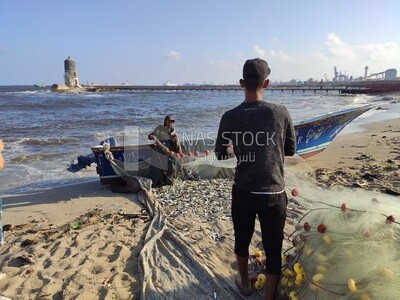 Egyptian fishermen unload nets full of fish onto the beach