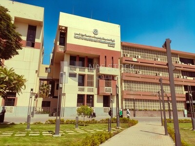 Building of the Faculty of Computers and Information, Ain Shams University