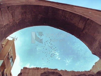 Birds flying in the sky of the city of the dead in Egypt