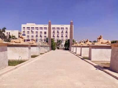 Road in the same style as the Rams Road in October 6 University