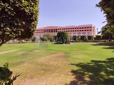 حديقة خضراء طبيعية