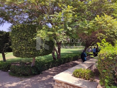 حديقة خضراء طبيعية   , مصر