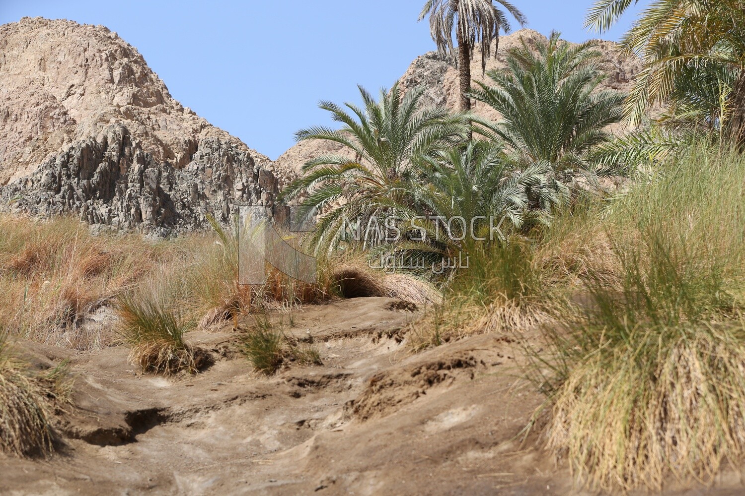 Wadi Jana in Egypt