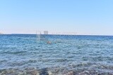 Young man and his friend enjoy swimming in the Red Sea