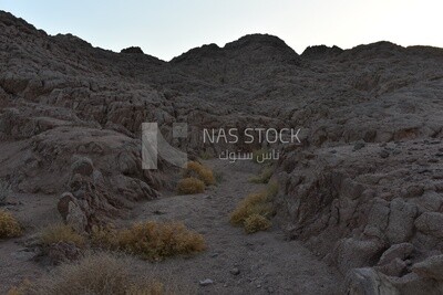 Mountain landscape