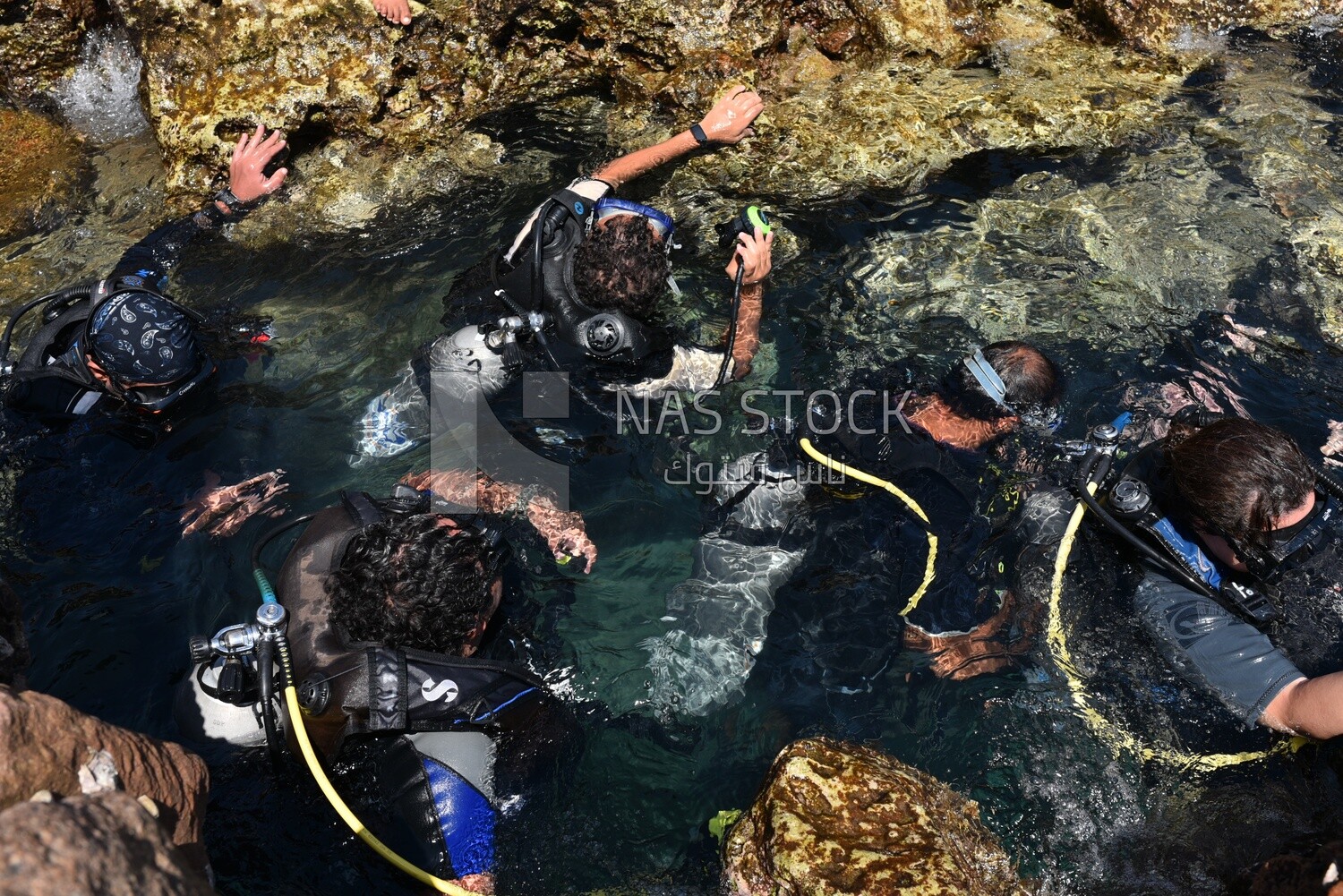 Group of men in wetsuits preparing to dive
