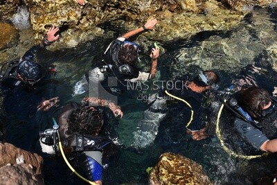 Group of men in wetsuits preparing to dive