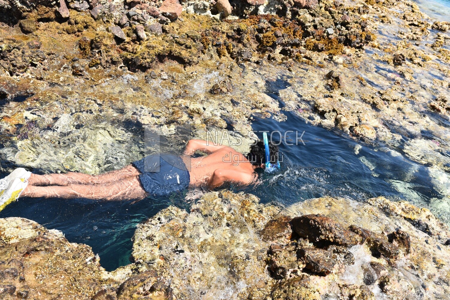 Young man wearing swimming goggles swims in the water