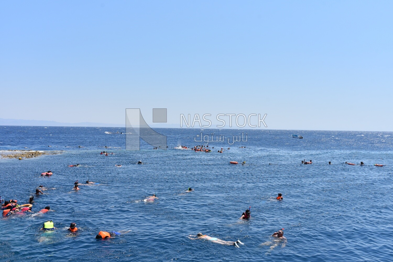 Seashore is crowded with people enjoying summer activities