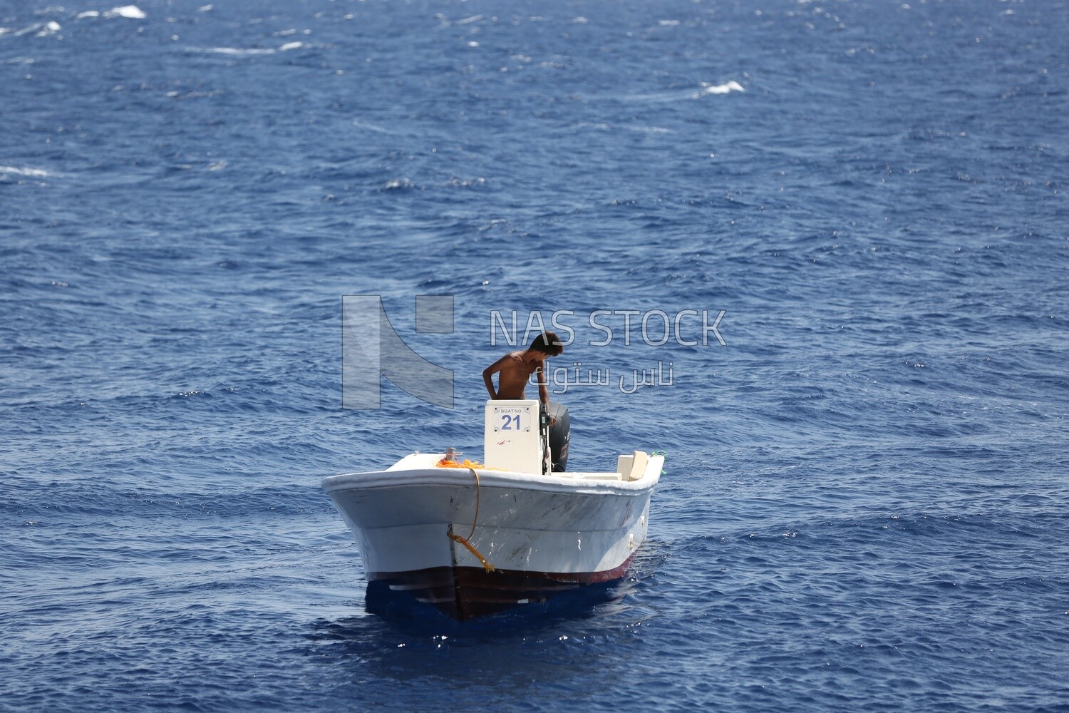 Guy drives a yacht and cruises in the Red Sea
