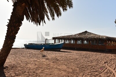 Camp in the city of Dahab, Egypt