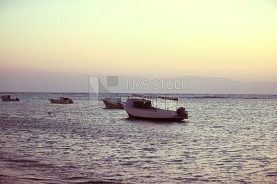 Boats docked in the sea