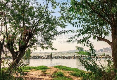 Two young men enjoying a swim in the Nile River, Egypt