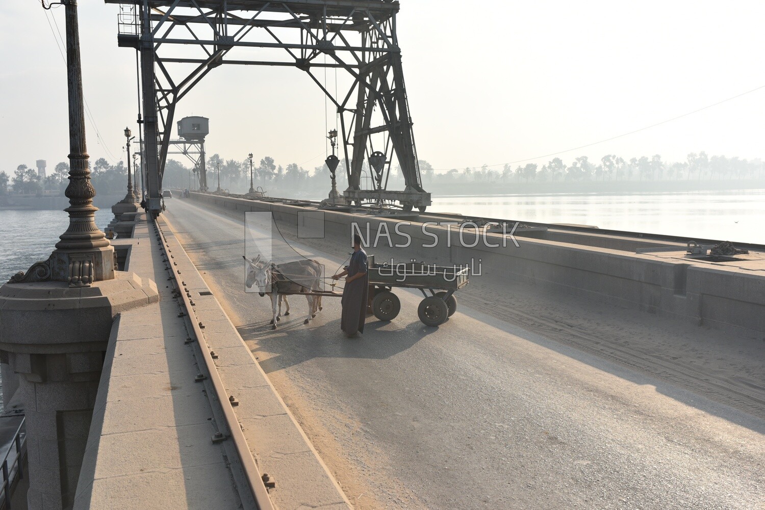 Man pulling a donkey-driving cart