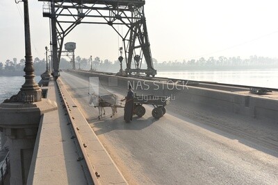 Man pulling a donkey-driving cart