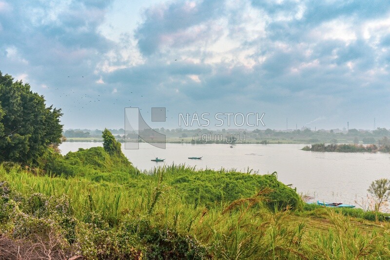 Shore of the Nile River in the Qanater al-Khairiya area, Egypt